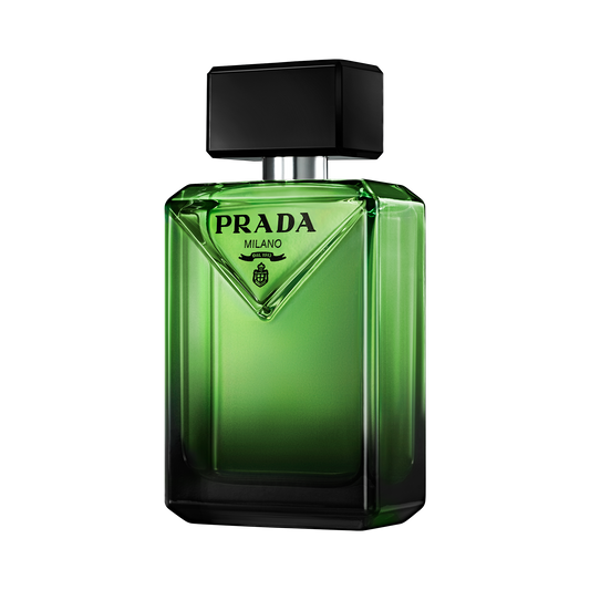 PRADA - PARADIGME EDP