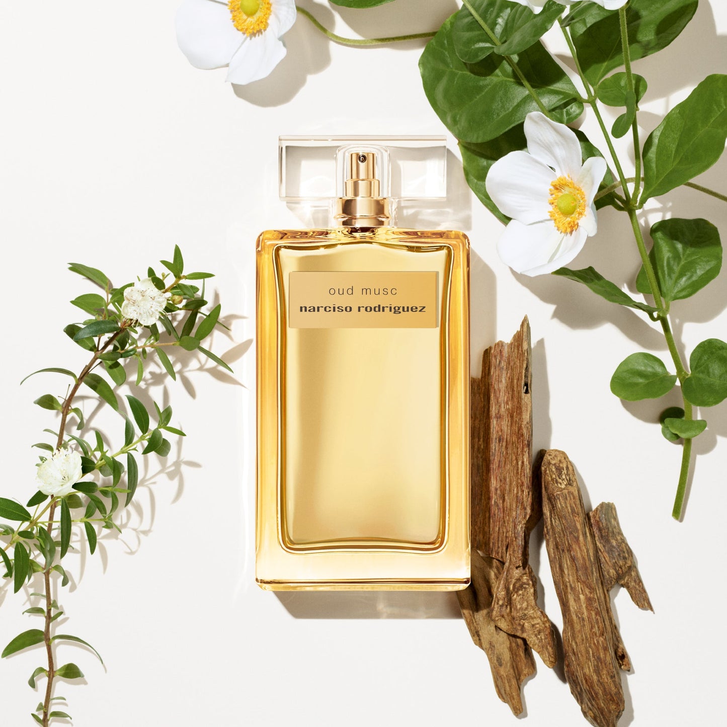 NARCISO RODRIGUEZ - COLLECTION MUSC OUD MUSC EDP INTENSE