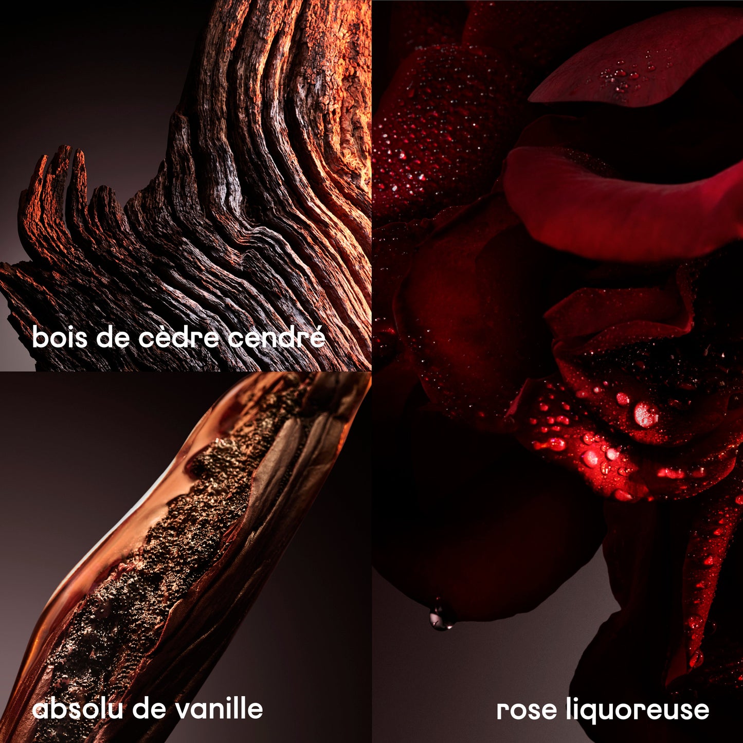 Rabanne - 1M ELIXIR