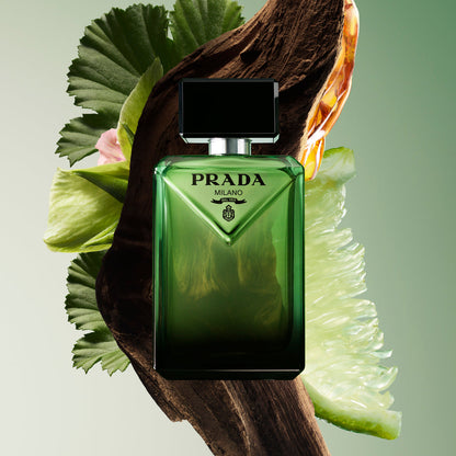 PRADA - PARADIGME EDP