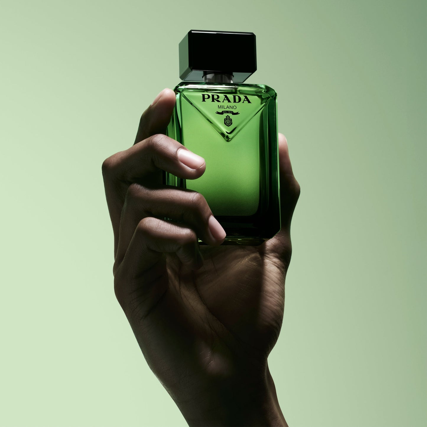 PRADA - PARADIGME EDP