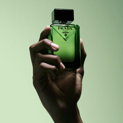 PRADA - PARADIGME EDP