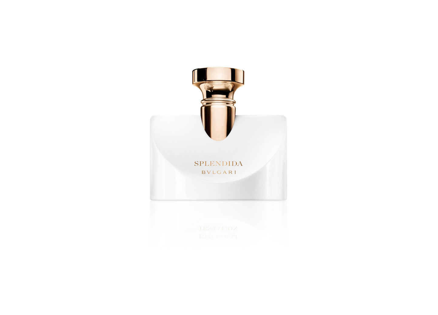 SPLENDIDA PATCHOULI TENTATION 100ml EDP