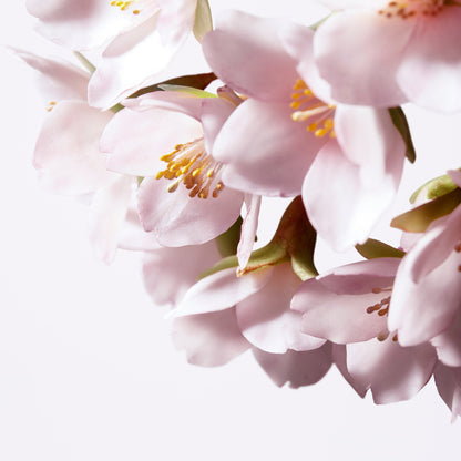 SHISEIDO - WHITE LUCENT ILLUMINATING MICRO-SPOT SERUM 30ML