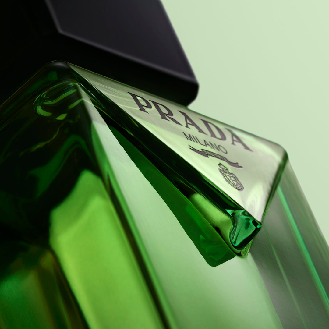 PRADA - PARADIGME EDP