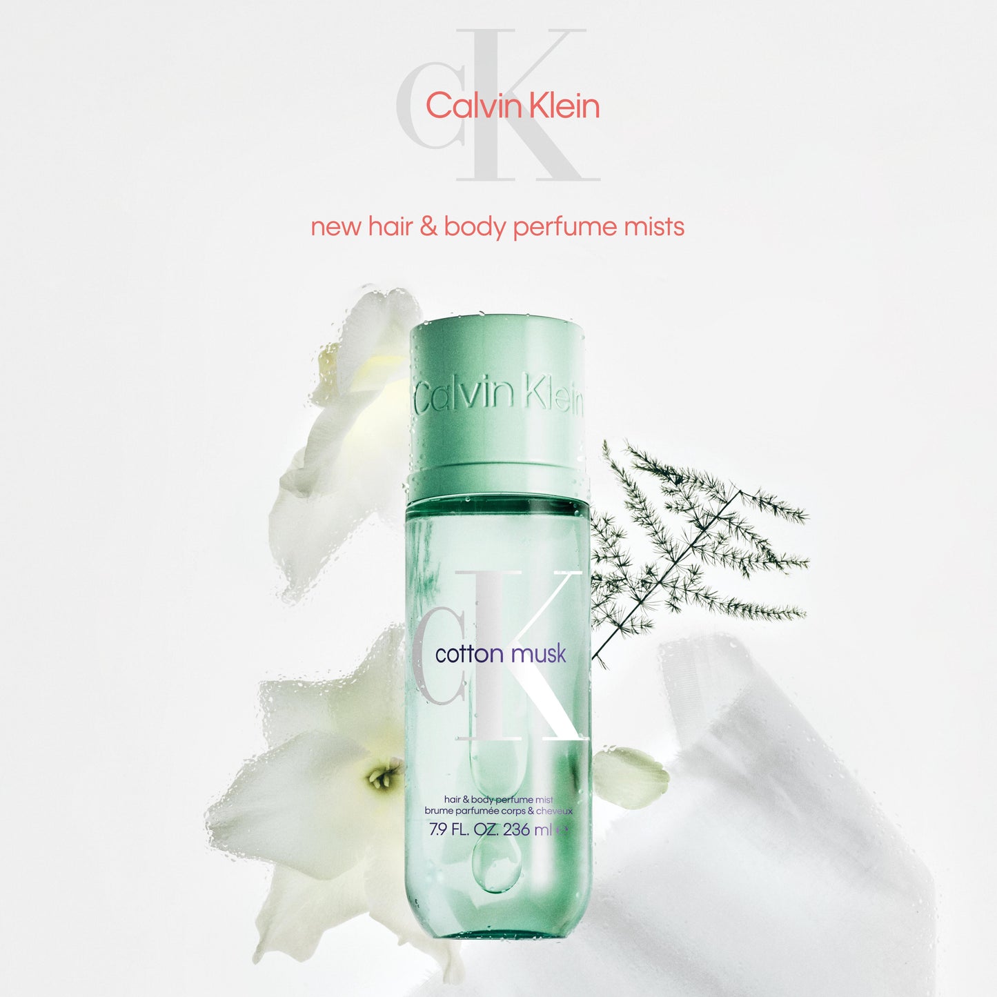 CALVIN KLEIN  - BRUME PARFUMEE COTTON MUSK 236ML