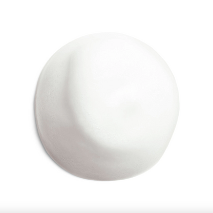 SHISEIDO - COMPLETE CLEANSING MICROFOAM