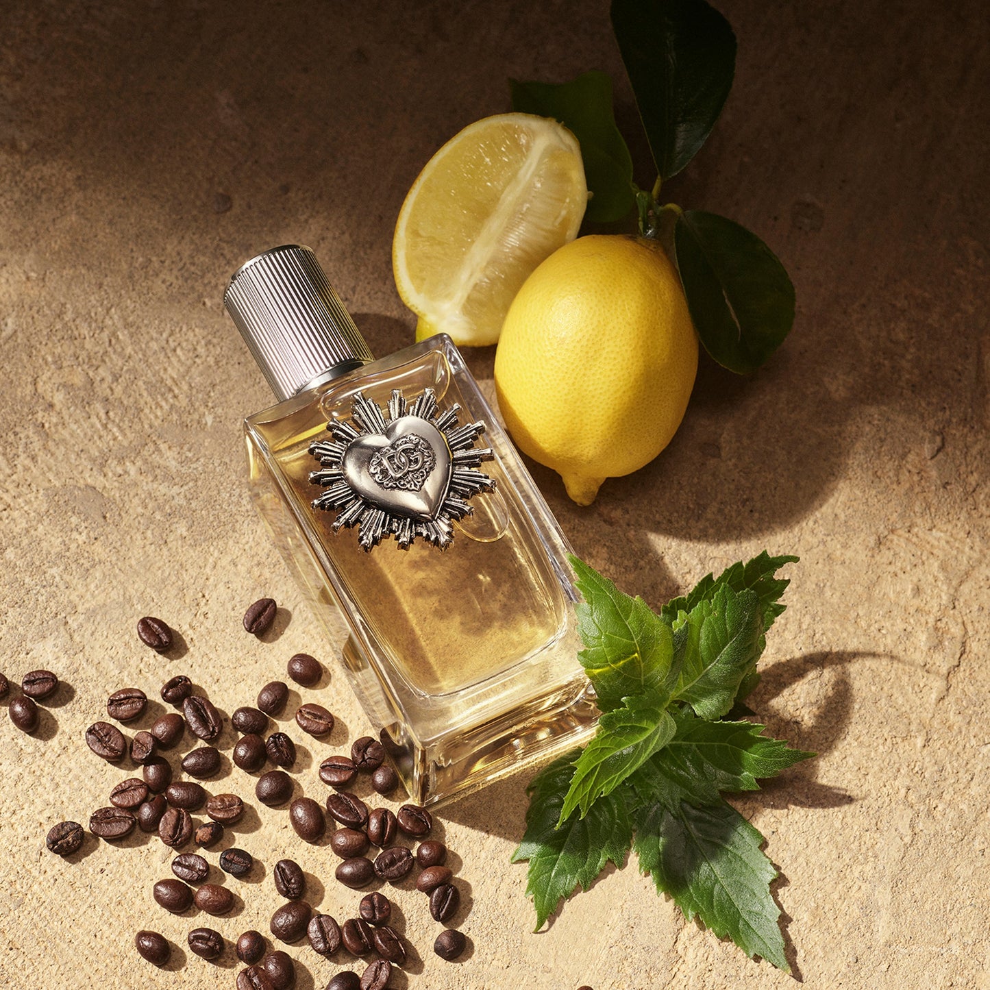 DOLCE&GABBANA - DEVOTION EDP POUR HOMME