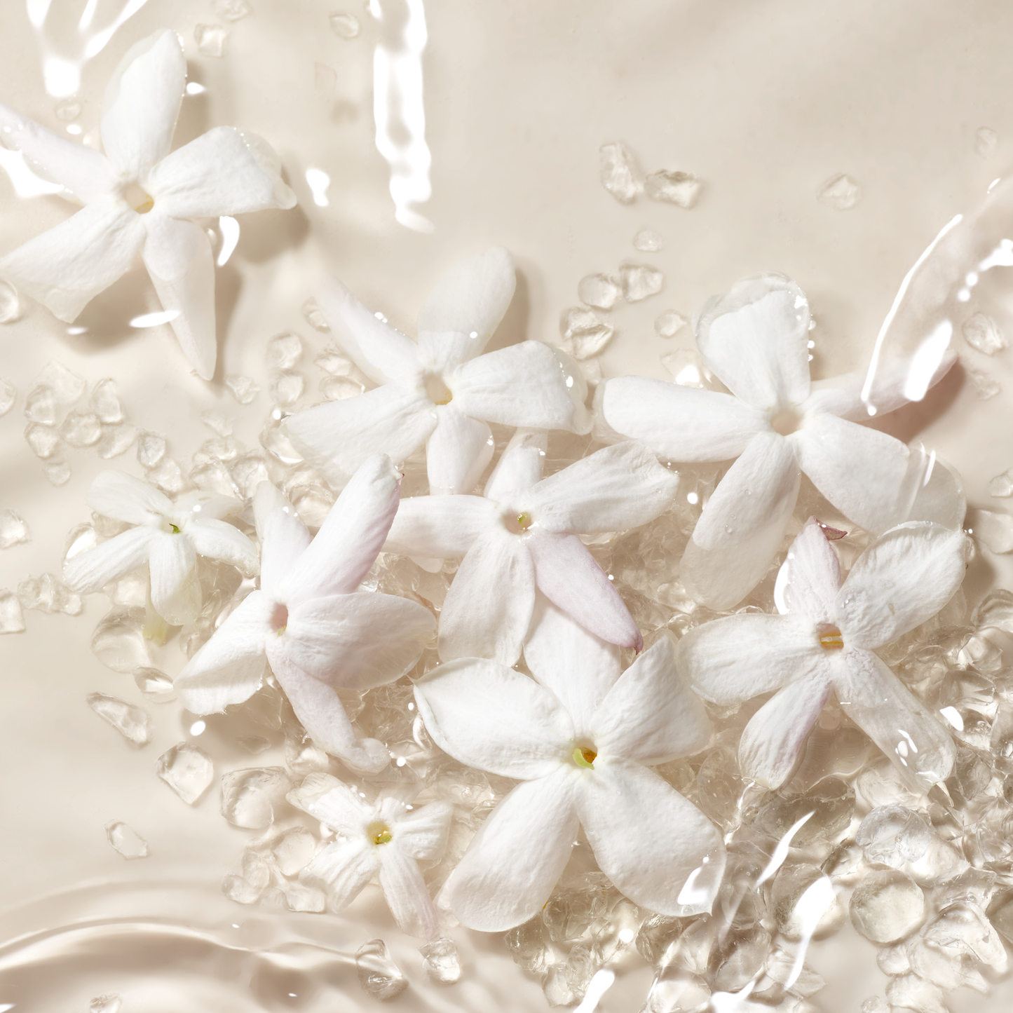 Armani Privé - BLANC KOGANE EDP 100ml