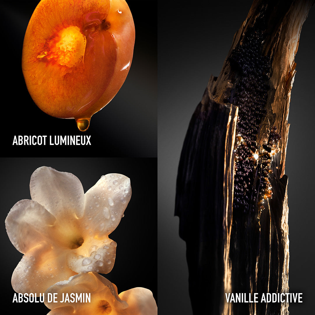 Rabanne Olympéa Absolu – Parfum Intense Femme