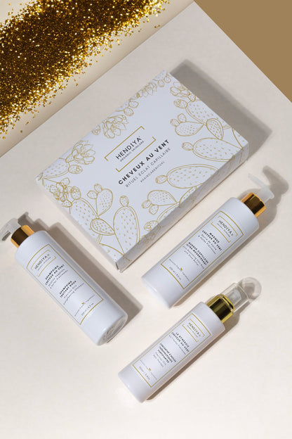 HENDIYA - LA SYNERGIE CHEVEUX AU VENT 100ML