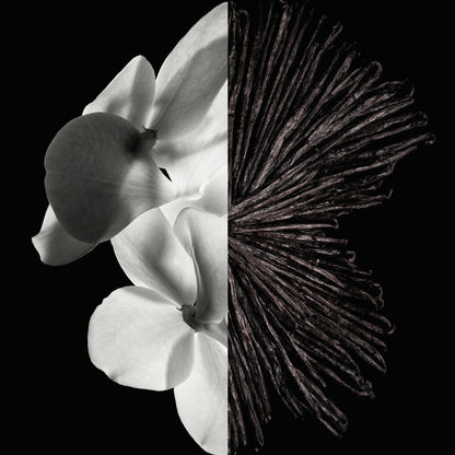 GIVENCHY - Gentleman - Eau de Parfum
