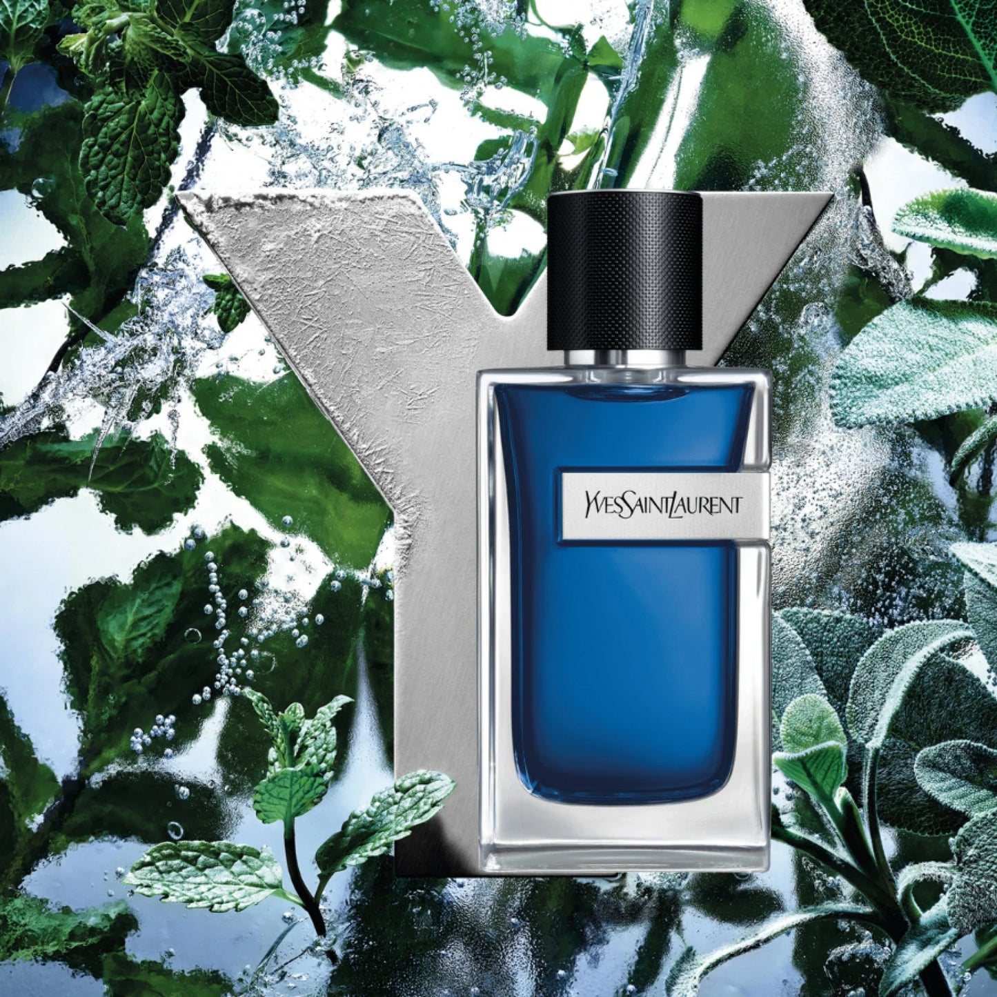 YSL Beauté - Y ICED COLOGNE EDTI
